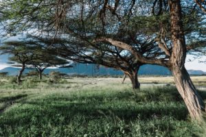 Kenya photo voyage